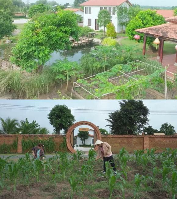 Mảnh đất biệt thự nhà vườn của Trường Giang ở ngoại ô được Ngô Kiến Huy định giá 70 tỷ đồng-6