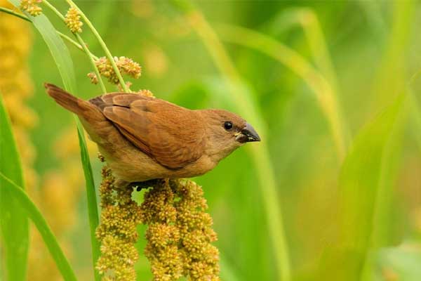 Người sinh ngày Âm lịch này giỏi giao tiếp, sự nghiệp thuận buồm xuôi gió, tương lai đầy hứa hẹn-1