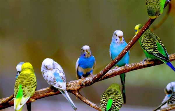 Người sinh ngày Âm lịch này giỏi giao tiếp, sự nghiệp thuận buồm xuôi gió, tương lai đầy hứa hẹn-3