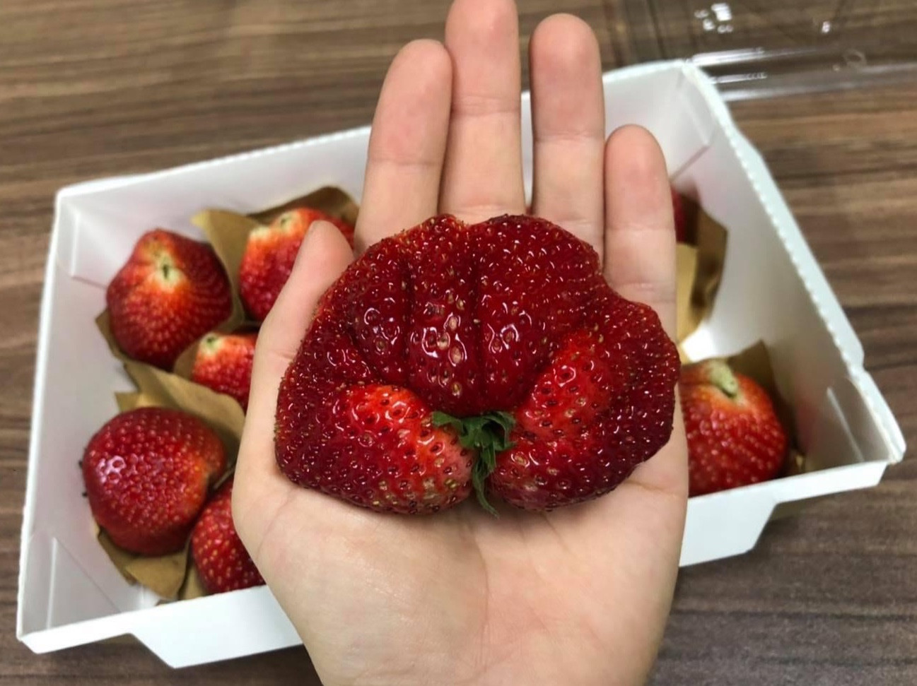 Đặc sản Sơn La ‘nhuộm đỏ’ chợ mạng, nhà vườn tiết lộ khoản thu khủng-2