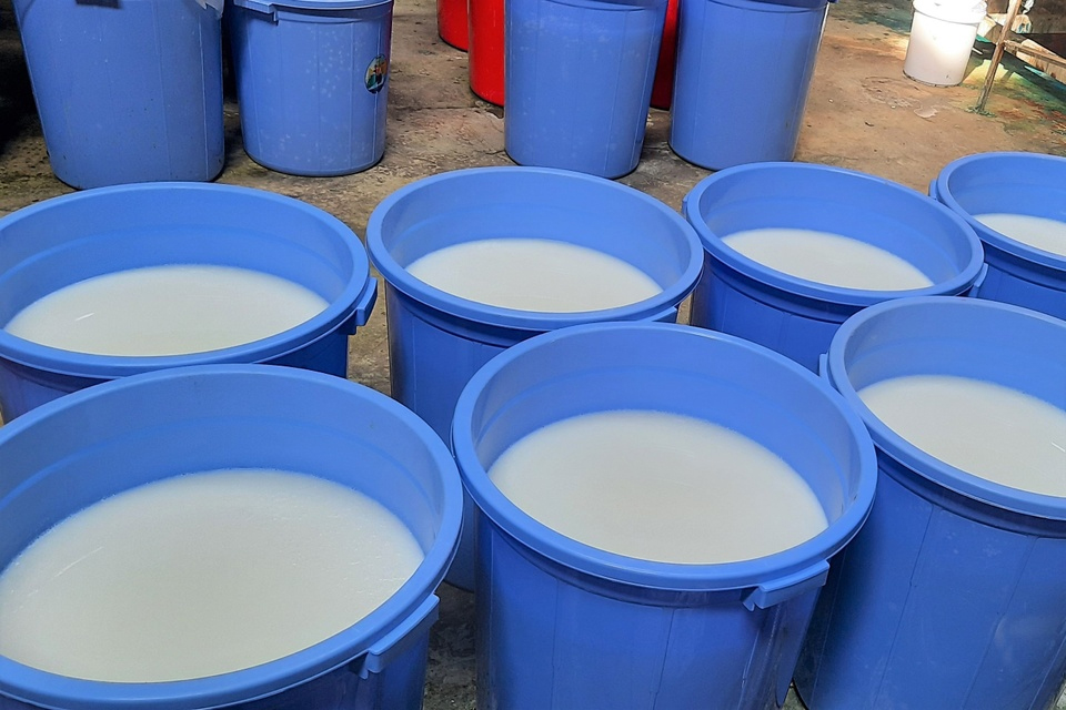 Sản xuất dầu gội X-men, Romano, Clear, Pantene giả bằng xô chậu-1