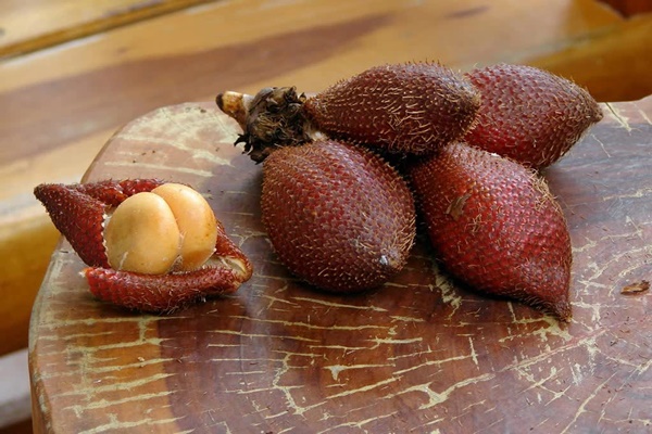 Thứ quả gai góc, xù xì được hội chị em tìm mua hóa ra giúp hạ đường huyết, bổ mắt, giảm cân rất tốt-2