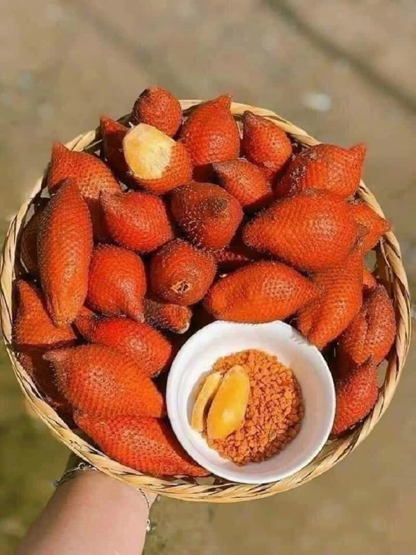 Thứ quả gai góc, xù xì được hội chị em tìm mua hóa ra giúp hạ đường huyết, bổ mắt, giảm cân rất tốt-3