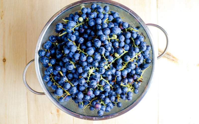 Tự làm nho khô vừa ngon lại dễ cho dịp Tết nhâm nhi không biết chán-2