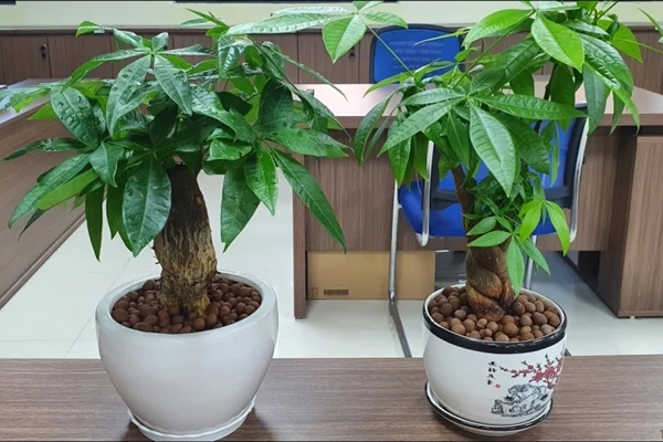 Bát hương có 4 dấu hiệu lạ: Nhà nào còn giữ cố, không thay là mất lộc-4