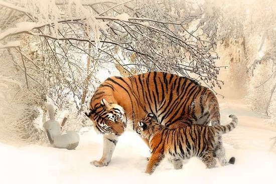 2 tháng cuối 2022: 4 tuổi vơ hết lộc Trời tiền về như thác lũ, 1 tuổi làm như trâu vẫn nợ đầm đìa