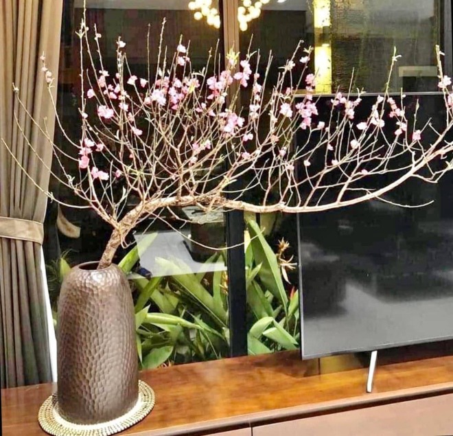 Vợ chồng Tự Long dẫn con về quê thăm vườn, hé lộ khu bất động sản rộng mênh mông-4