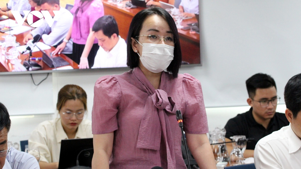 TP.HCM kiến nghị bác sĩ nước ngoài phải nói tiếng Việt khi khám, chữa bệnh-1