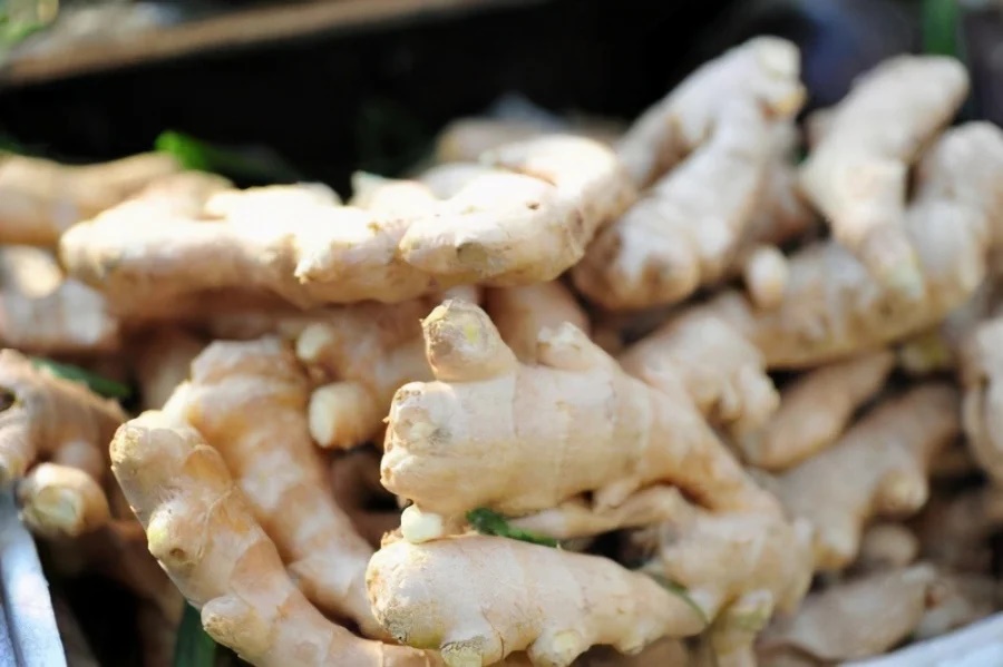 Mua gừng chọn củ vỏ nhẵn hay sần, chọn sai chỉ phí tiền, đến mùi thơm cũng không có-2