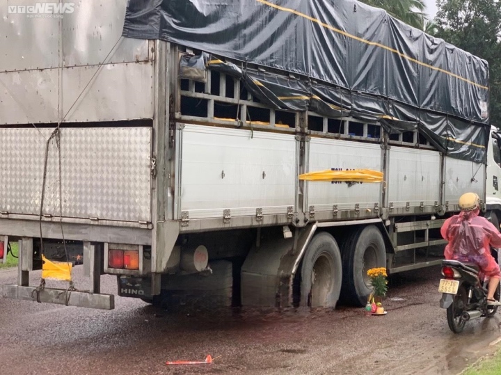 Luật sư: Đột ngột lùi xe tải gây ra cái chết của 3 mẹ con là tội ác-2