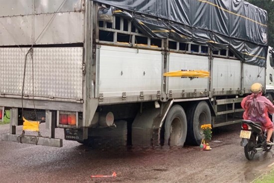 Luật sư: Đột ngột lùi xe tải gây ra cái chết của 3 mẹ con là tội ác