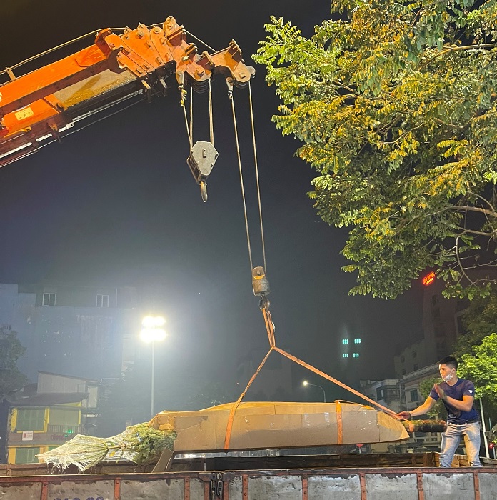 Cây thông tươi đi máy bay về Việt Nam, nhà giàu chi hàng trăm triệu đồng mua về ngắm-5