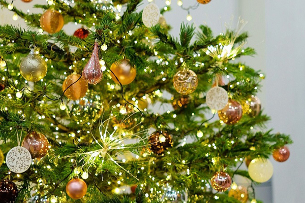 Hà Nội: Thị trường cây thông Noel nhộn nhịp, mức giá từ 10 - 20 triệu hút khách mua-9