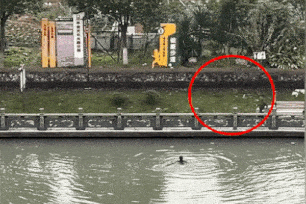 Phản xạ cực nhanh, ông cứu cháu thoát khỏi cú ngã cực nguy hiểm-1