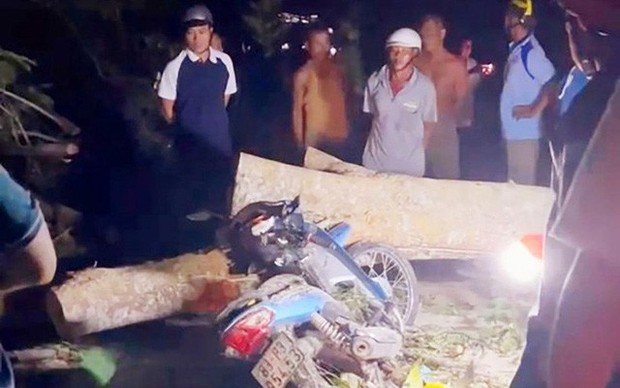 Cây bật gốc đè 2 bà cháu tử vong-1