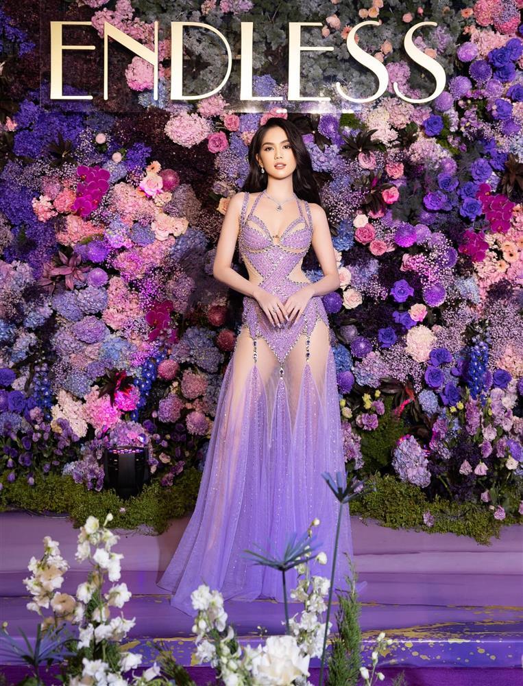 Ngọc Trinh lại mặc đầm nhái dù từng bị NTK nước ngoài tố thẳng mặt?-5