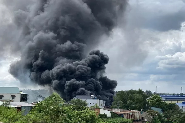 Bán 80.000 đồng một củ khoai nướng, người phụ nữ không thừa nhận chặt chém-3