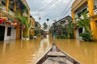Quảng Nam sạt lở, Hội An ngập sâu sau mưa lớn