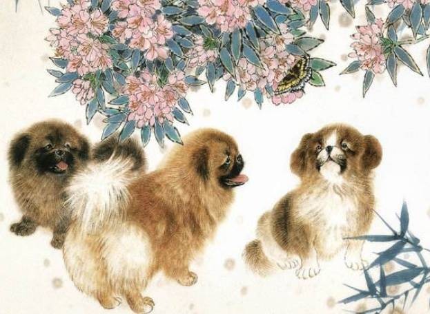 Dự đoán tuần mới (5/12 - 11/12/2022) cho 12 con giáp: 3 tuổi may ngút trời-11