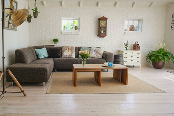 4 cây này ra hoa là đại hung địa họa”, gia chủ không đại hạn tiền bạc cũng lục đục không yên-3