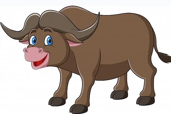 Bồ Tát chở che, ba con giáp phất lên vù vù, giàu nhất Quý Mão-8