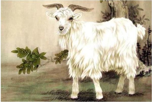 Bồ Tát chở che, ba con giáp phất lên vù vù, giàu nhất Quý Mão-1