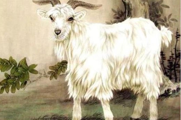 Tuần mới (5-11/12): 2 tuổi có quý nhân trợ vận, 1 tuổi phải chịu điều không như ý-4