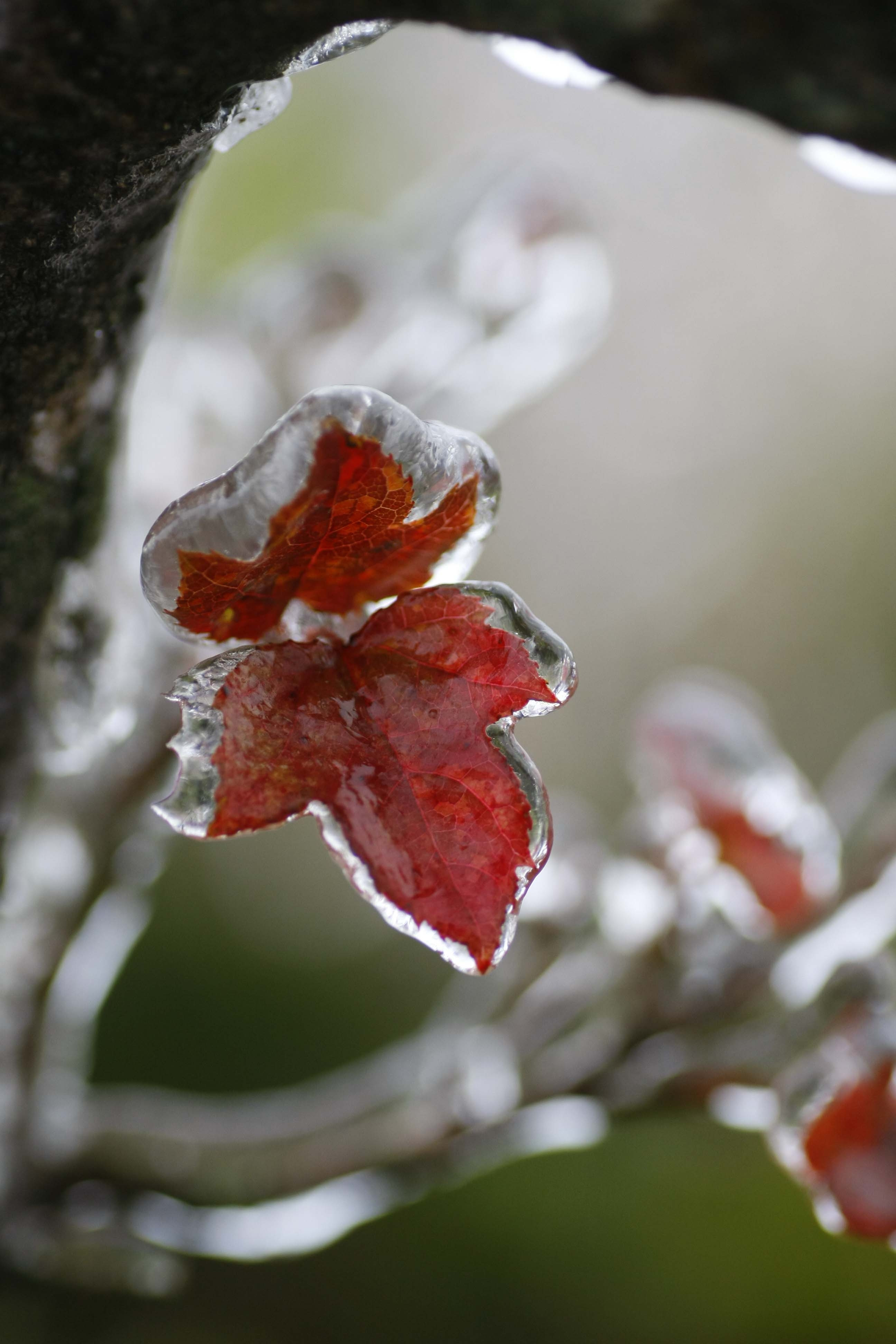 Dự báo thời tiết ngày 5/12: Miền Bắc rét đậm, miền Trung tiếp tục mưa to-1