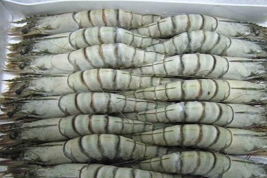 Ra chợ mua tôm thấy 4 loại này rẻ mấy cũng tránh xa, ai cũng nên biết