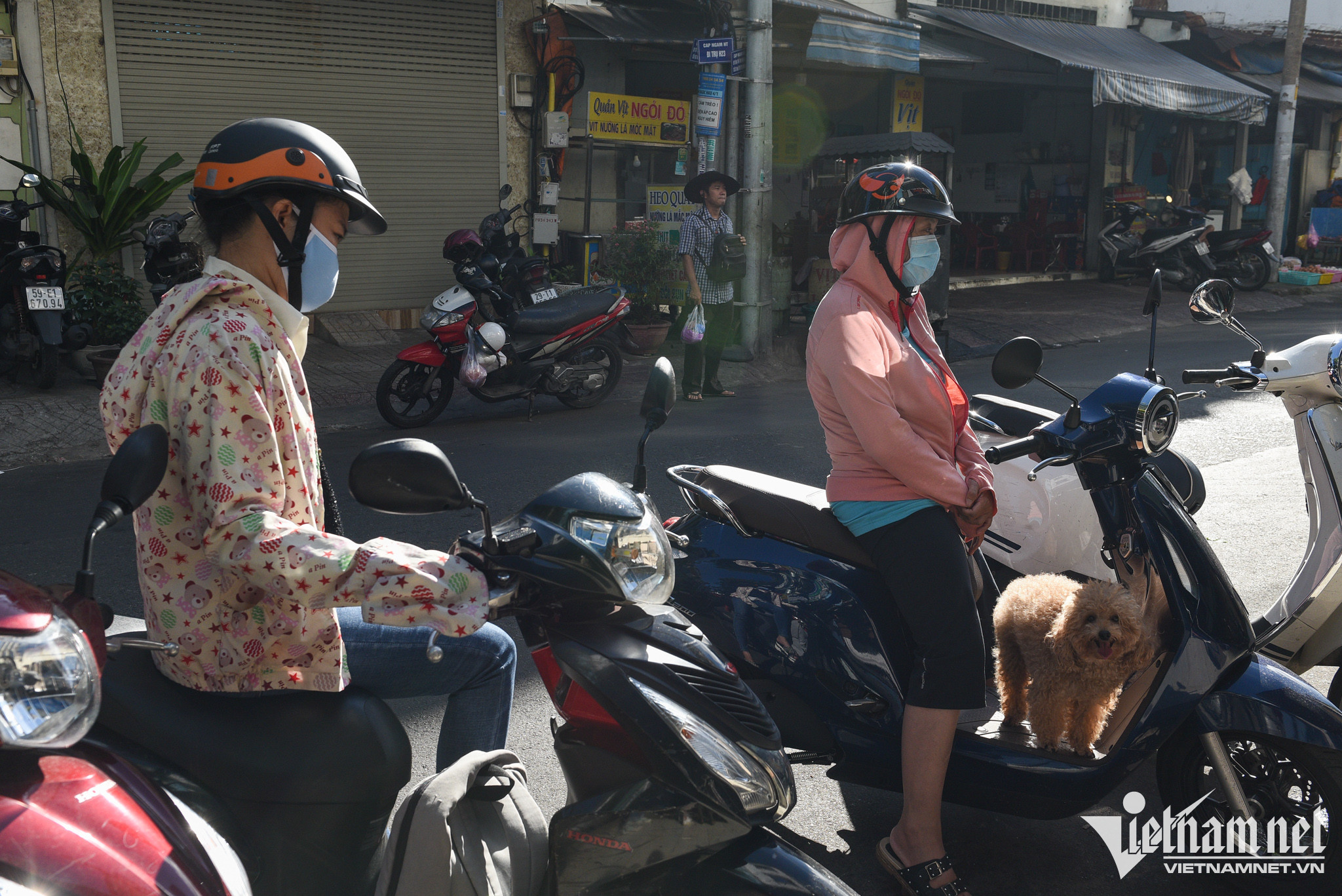 Hàng xôi chuẩn vị Bắc 11 năm bán trên vỉa hè TP.HCM-3