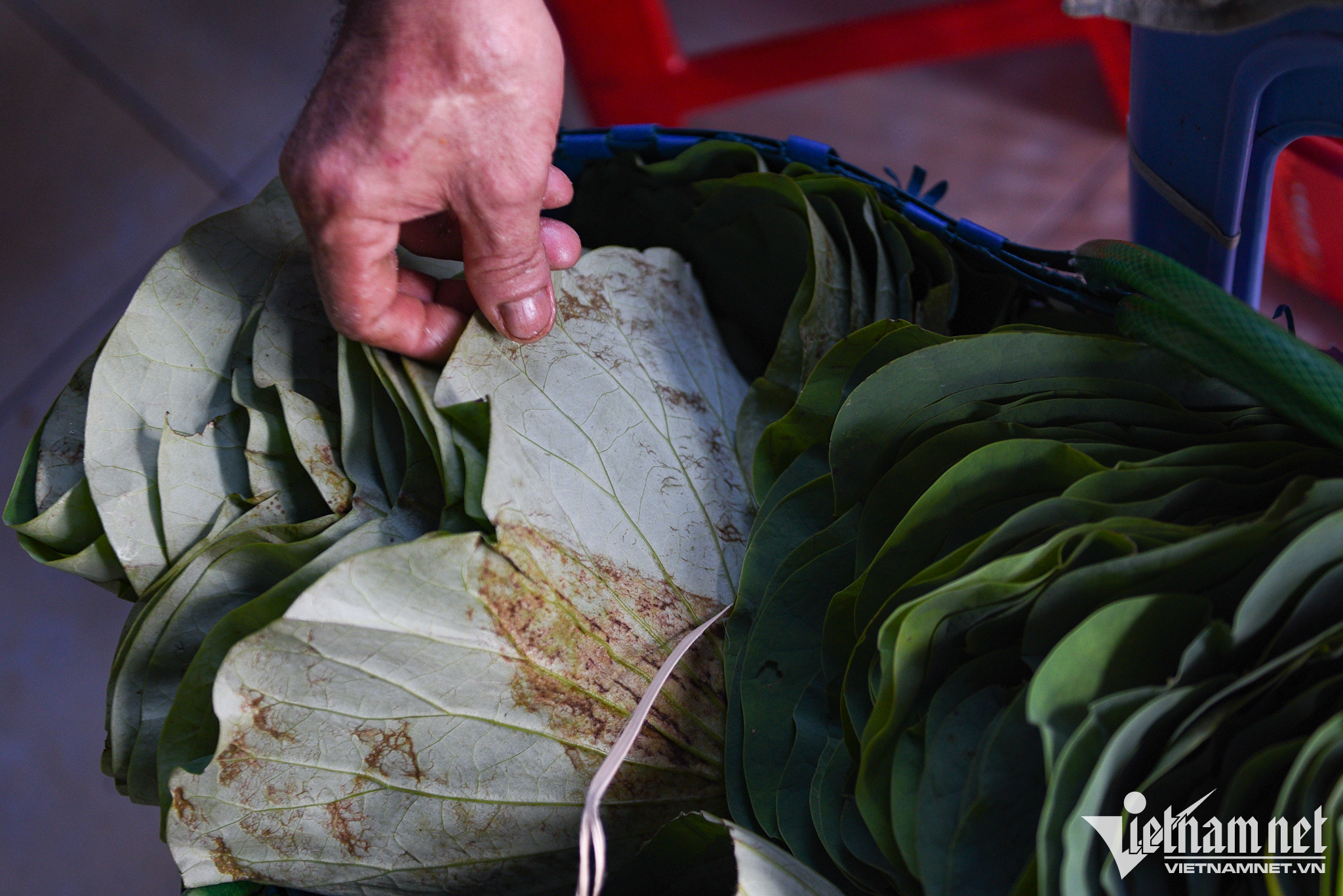 Hàng xôi chuẩn vị Bắc 11 năm bán trên vỉa hè TP.HCM-7