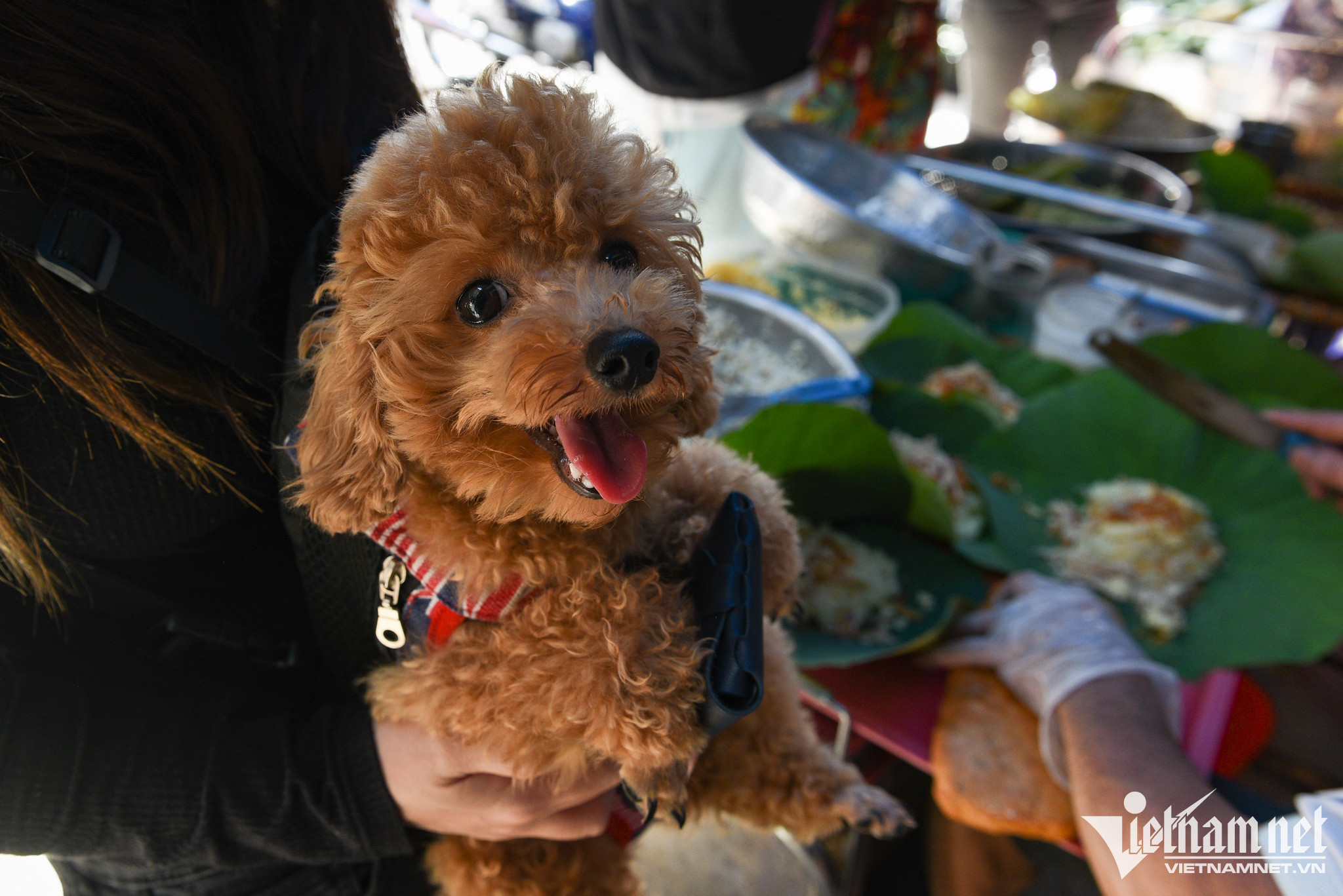 Hàng xôi chuẩn vị Bắc 11 năm bán trên vỉa hè TP.HCM-8