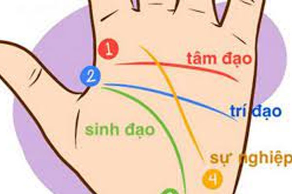 Lòng bàn tay có chữ M tài năng thiên bẩm, phú quý suốt đời: Ai sở hữu cực kỳ may mắn-2