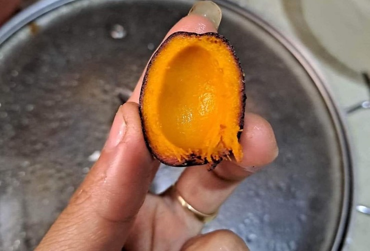 Loại quả rừng xưa ăn chống đói, giờ thành đặc sản được chị em tranh nhau mua-2