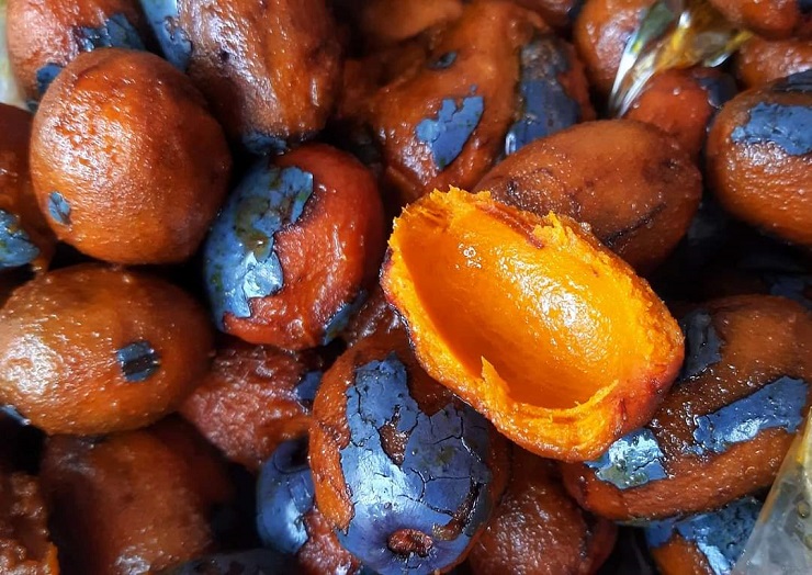 Loại quả rừng xưa ăn chống đói, giờ thành đặc sản được chị em tranh nhau mua-4