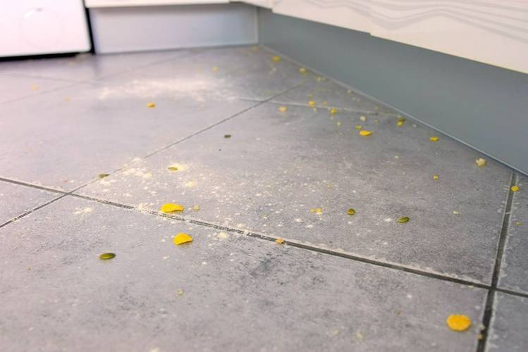 Rắc thứ bột này quanh nhà, gián to gián nhỏ rủ nhau chạy mất hút, không dám bén mảng quay lại-2