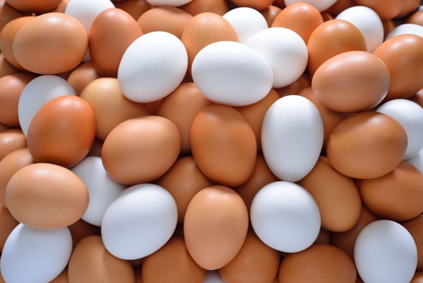 7 quan niệm sai lầm về trứng mà bạn nên tránh-2