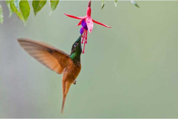 20 ngày cuối năm 2022: 3 con giáp trúng số đổi đời, tài khoản nhảy số ầm ầm-4