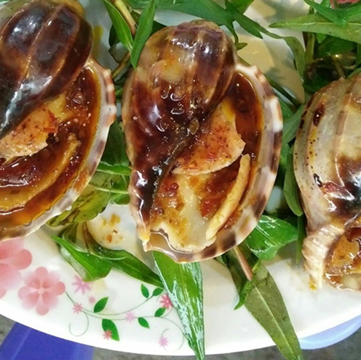 Loài hải sản ở Việt Nam khan hiếm, ít người biết tới, là đặc sản đắt khách ở thành phố-7