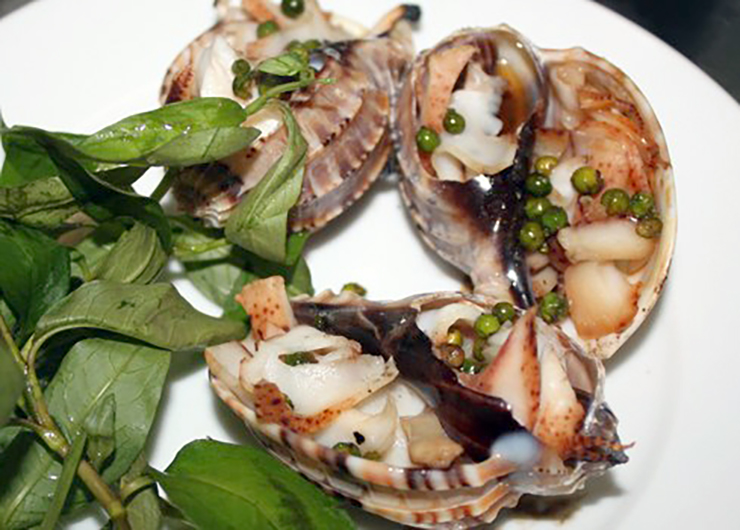 Loài hải sản ở Việt Nam khan hiếm, ít người biết tới, là đặc sản đắt khách ở thành phố-10