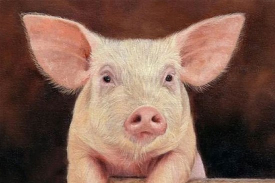 3 con giáp cần cù, siêng năng, đi lên từ con số 0 thành người giàu có