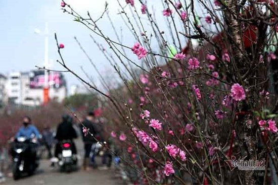 14 năm vô tâm, Tết này, con xin được sửa sai