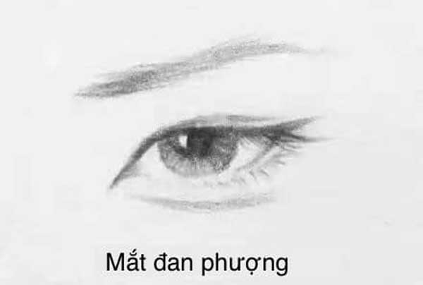 5 tướng người dễ phát tài trong năm Quý Mão 2023-2