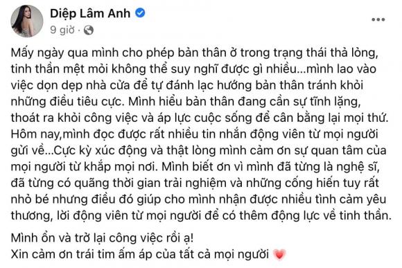 Sau khi mất quyền nuôi con trai, Diệp Lâm Anh lần đầu tiết lộ tâm trạng hiện tại-1