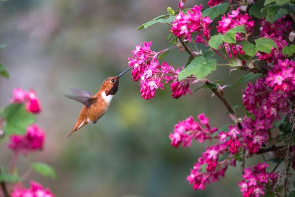 Sinh con năm 2023 - Quý Mão đặt tên thế nào?-2