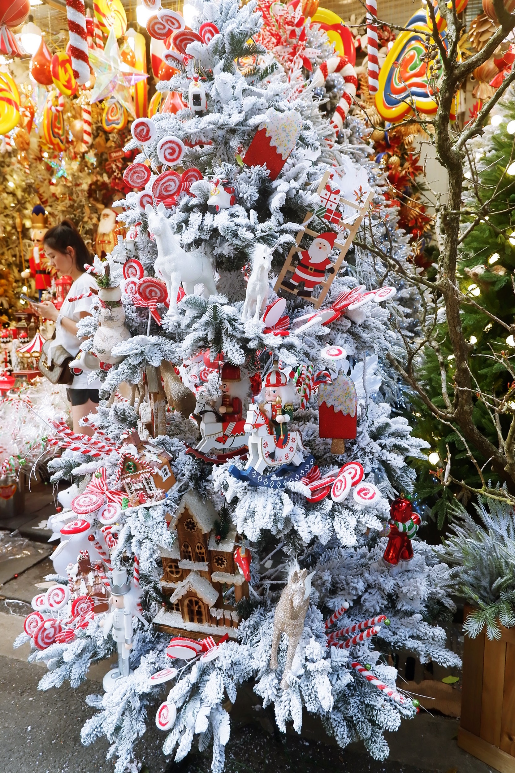 Hà Nội: Thị trường cây thông Noel nhộn nhịp, mức giá từ 10 - 20 triệu hút khách mua-1