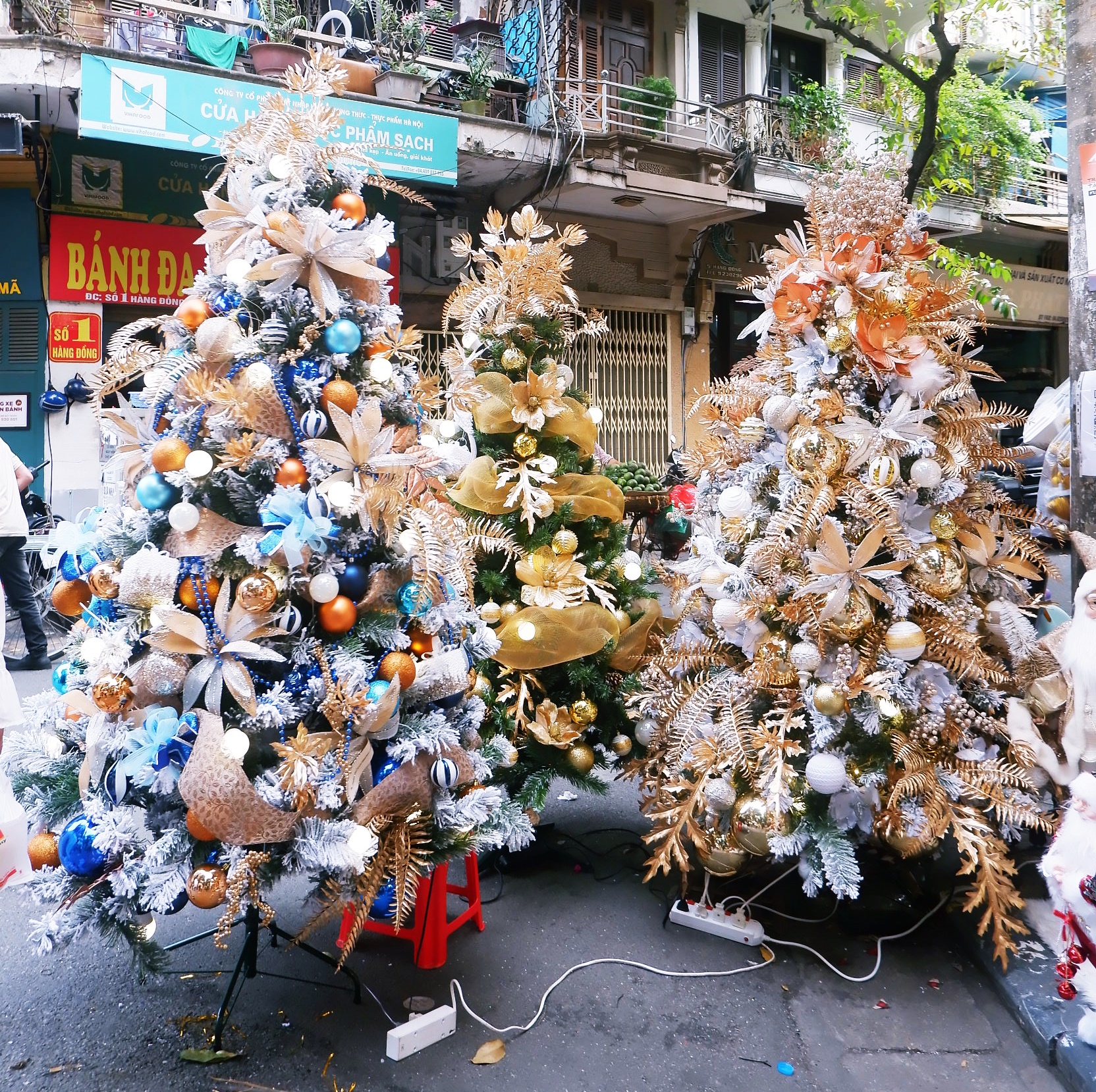 Hà Nội: Thị trường cây thông Noel nhộn nhịp, mức giá từ 10 - 20 triệu hút khách mua-2