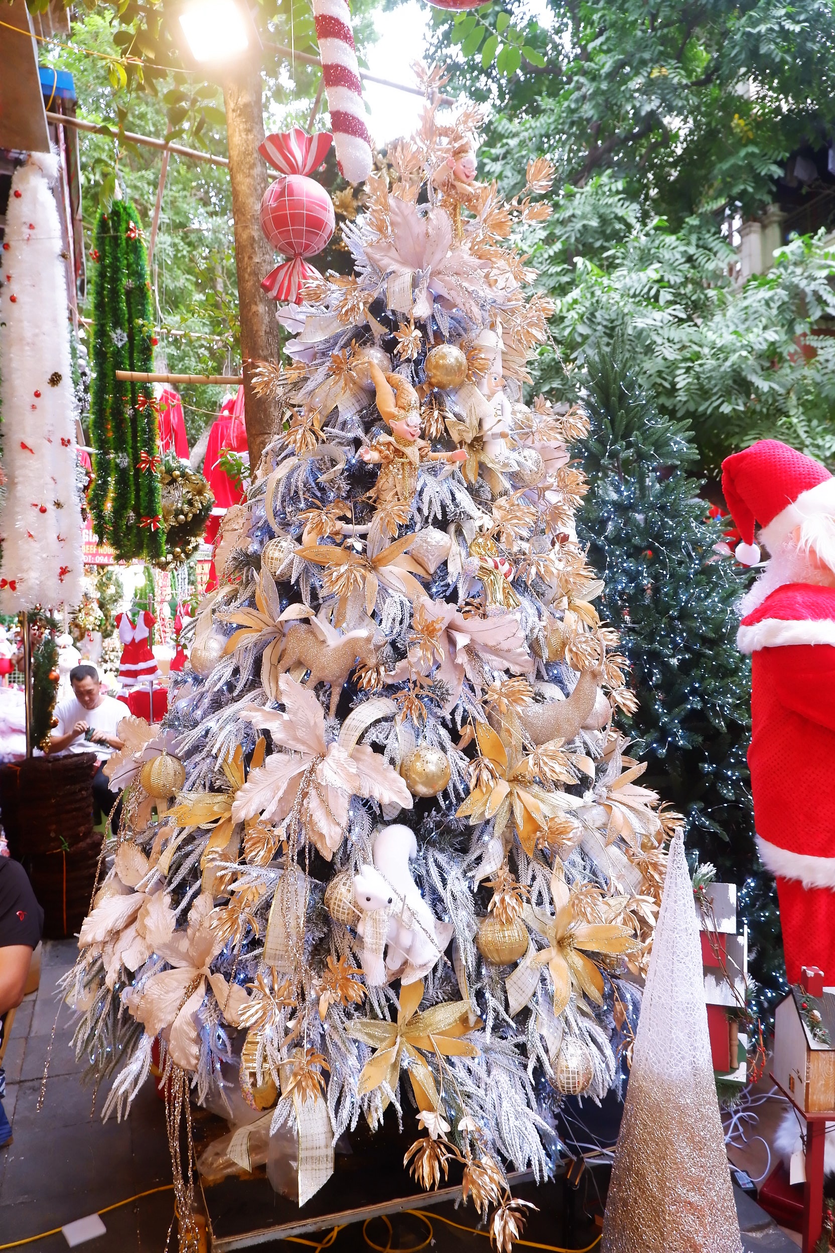 Hà Nội: Thị trường cây thông Noel nhộn nhịp, mức giá từ 10 - 20 triệu hút khách mua-3