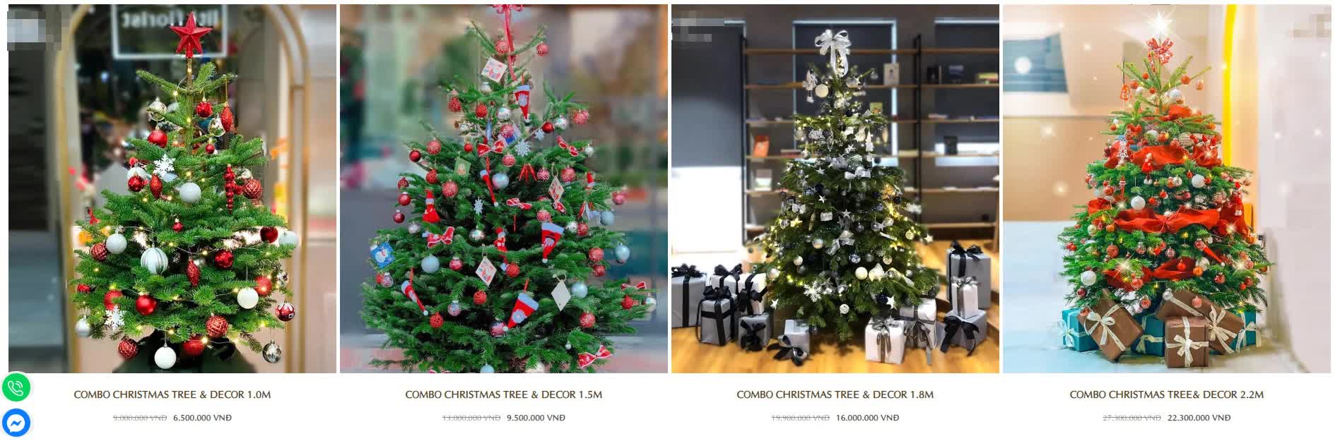 Hà Nội: Thị trường cây thông Noel nhộn nhịp, mức giá từ 10 - 20 triệu hút khách mua-8