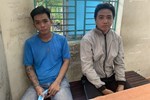 Bắt giữ 2 thanh niên trộm mai kiểng nhà dân ở TP.HCM
